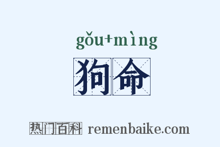 狗命是什么意思的图片